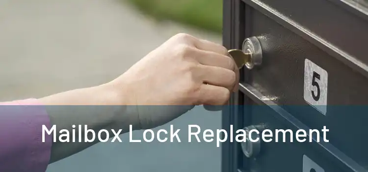  Mailbox Lock Replacement 